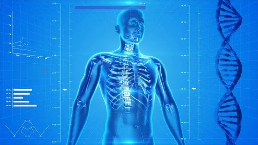 Conoscere anatomia e funzioni del corpo umano per vivere meglio