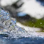 Bottigliette d’acqua vs dispenser: ecco cosa scegliere