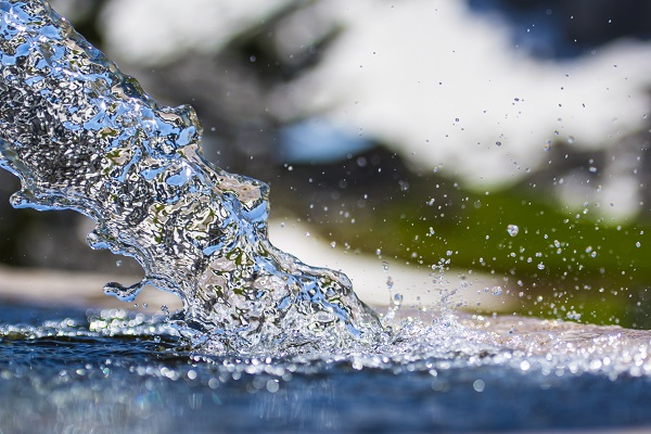 Bottigliette d’acqua vs dispenser: ecco cosa scegliere