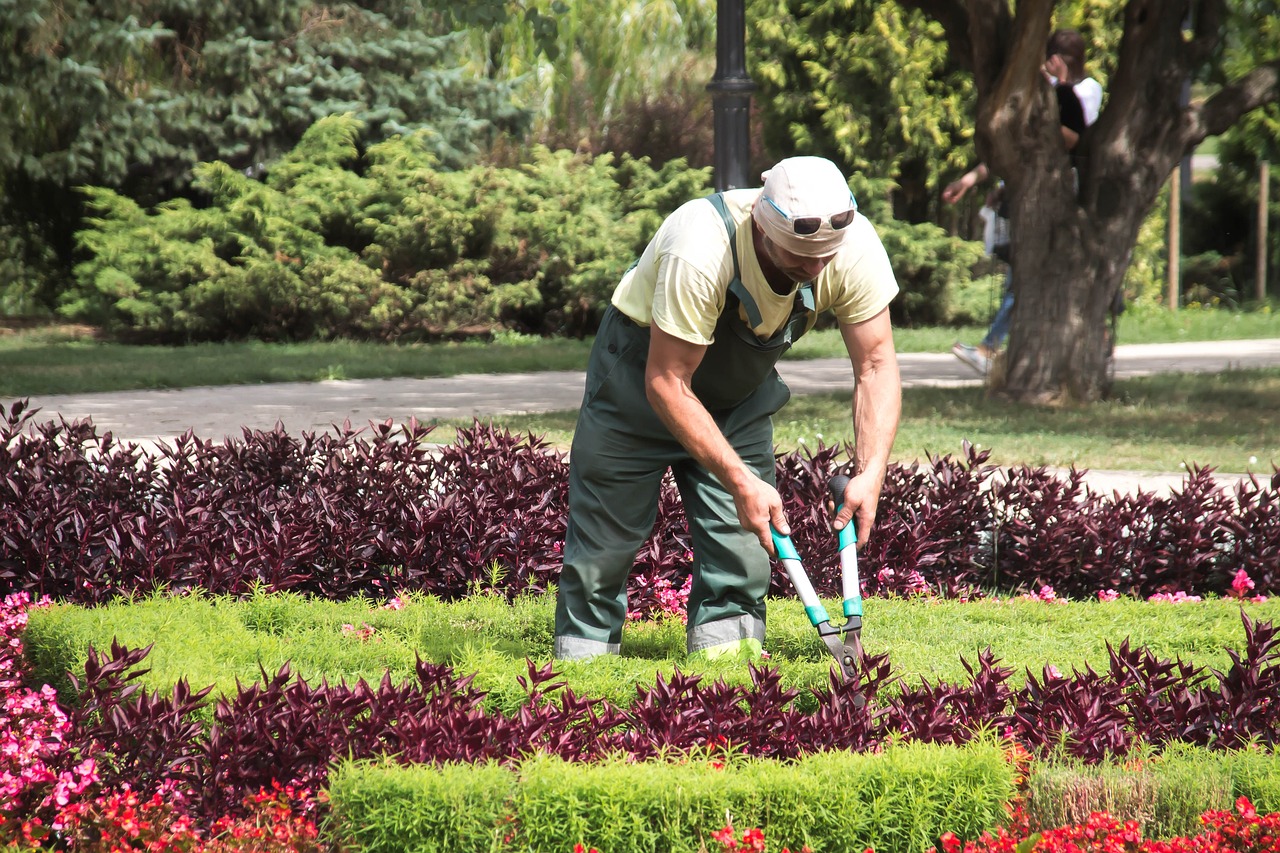 Cosa serve per diventare giardiniere?